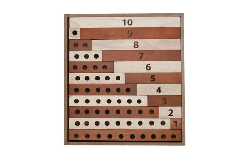 QTOYS - 2 Tone Counting Math Set